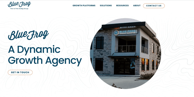 digital marketing website, bluefrog